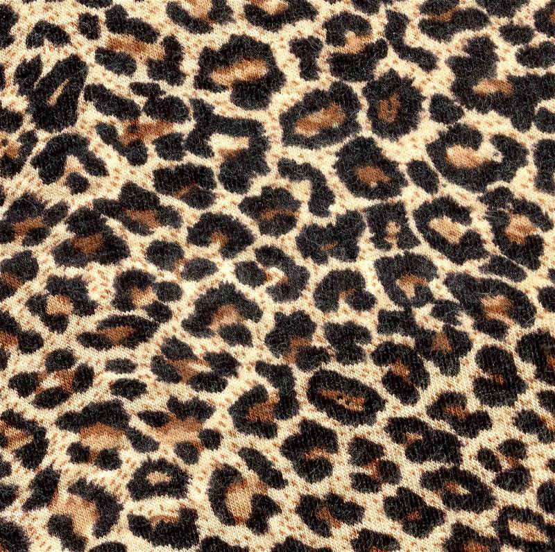 Leopard Background on Stock Image Of  Cheetah  Print  Background