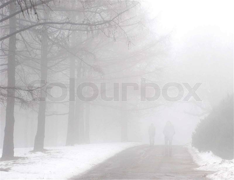 people walking silhouette. Image of #39;Silhouette of people walking in a foggy winter park#39;