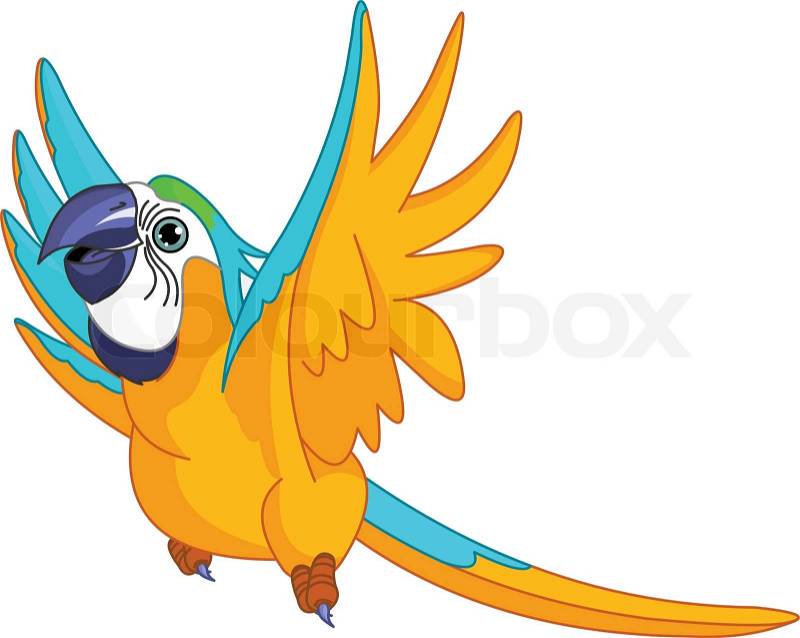 Tropical Birds Flying on Stock Vector Of  Illustration Of Happy Flying Parrot