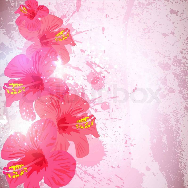 Flower  on Vector Of  Abstract Tropical Background  Hibiscus Flower For Design