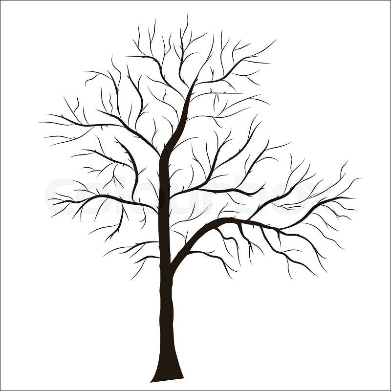 Tree Vector Free on Stock Vector Of  Tree Silhouette   Detailed Vector Element For Design