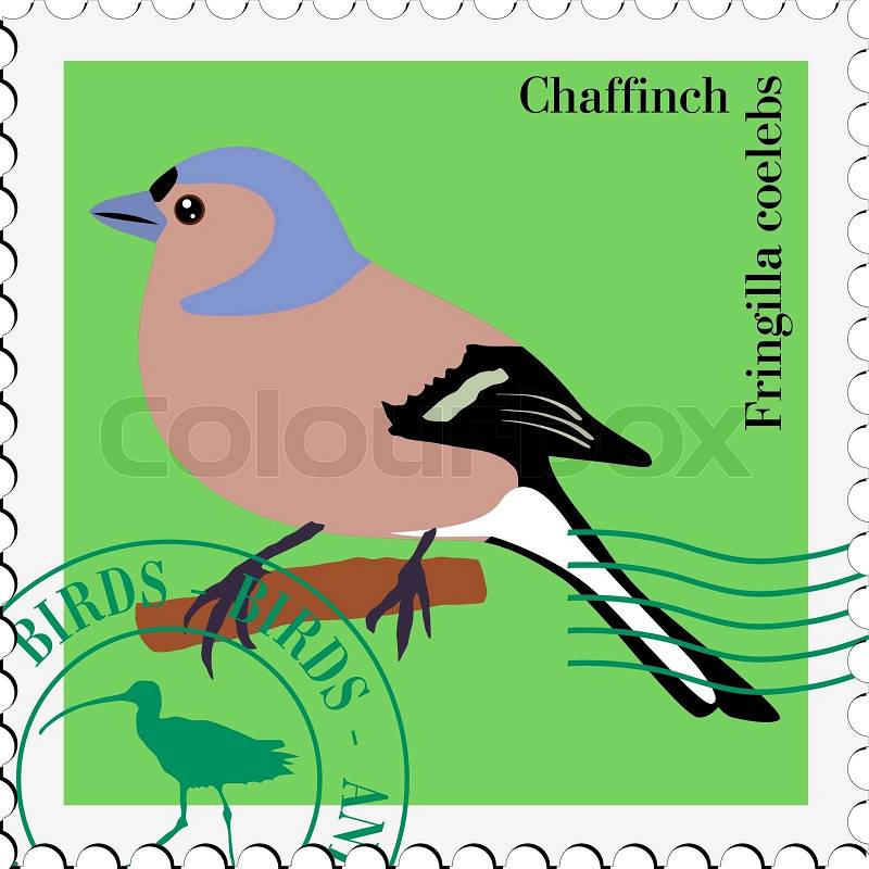 2590467-789033-vector-stamp-with-chaffinch.jpg