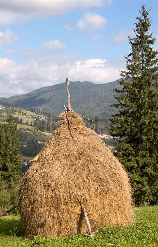 2612207-73682-summer-mountain-green-meadow-with-stacks-of-hay-carpathian-mt-s-ukraine.jpg
