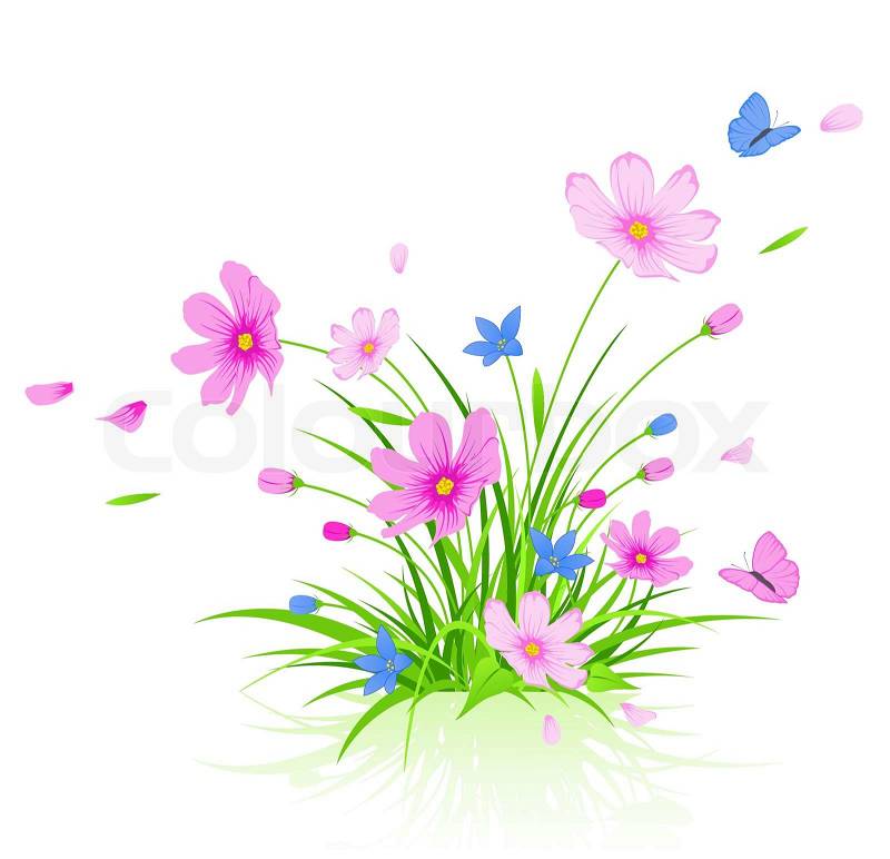 Cosmos Flowers on 2794409 447875 Vector Floral Background With Red Cosmos Flowers Jpg