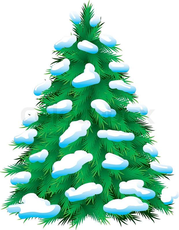Snowy Pine Tree Vector