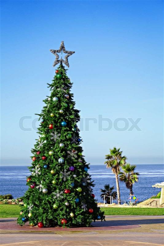 Christmas Tree Decorations on Stock Image Of  Holiday Christmas Tree Decorating A California Travel