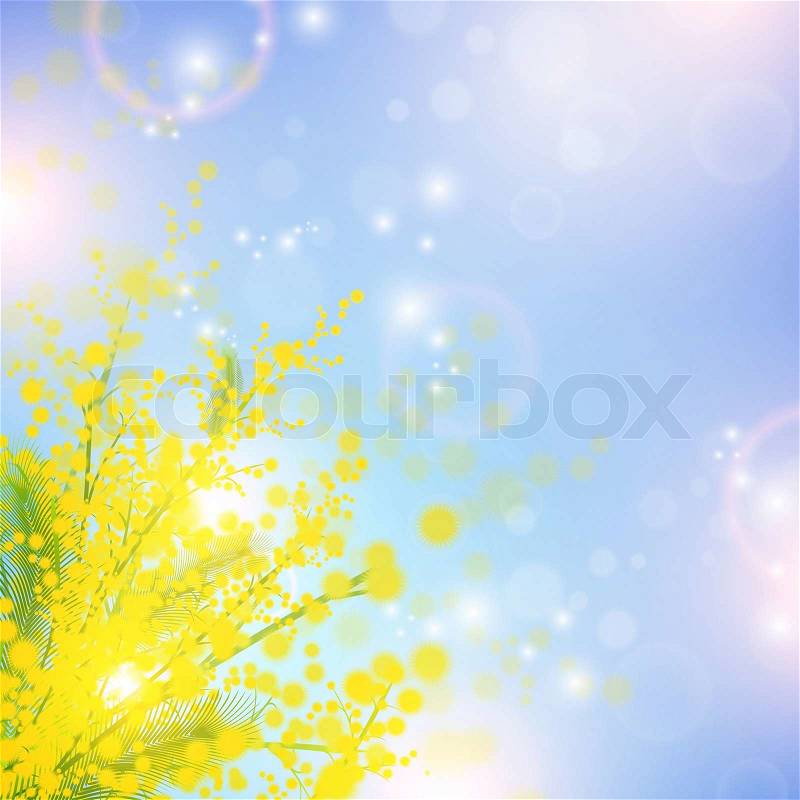 Mimosa Flowers on Stock Image Of  Mimosa Flowers Over Blue Sky And Magic Spring Lights
