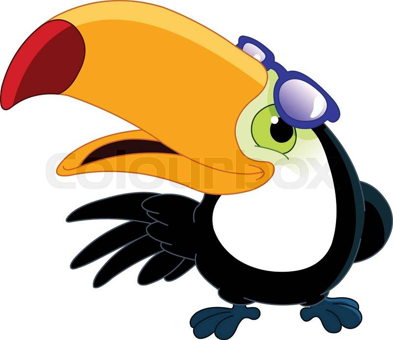 Cartoon Tropical Birds on 3461274 873666 Cartoon Toucan Wearing Sunglasses Jpg