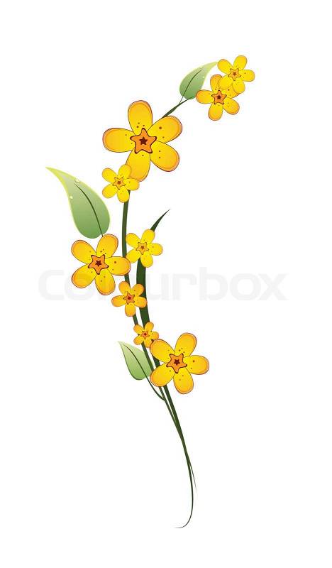 http://www.colourbox.com/preview/3682644-960551-yellow-flower-on-a-stem-with-green-leaves-on-white-background.jpg