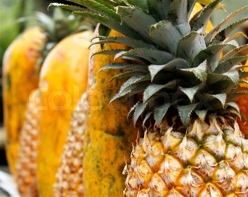 http://www.colourbox.com/preview/3690936-115449-pineapple-and-papaya-arranged-alternatively.jpg