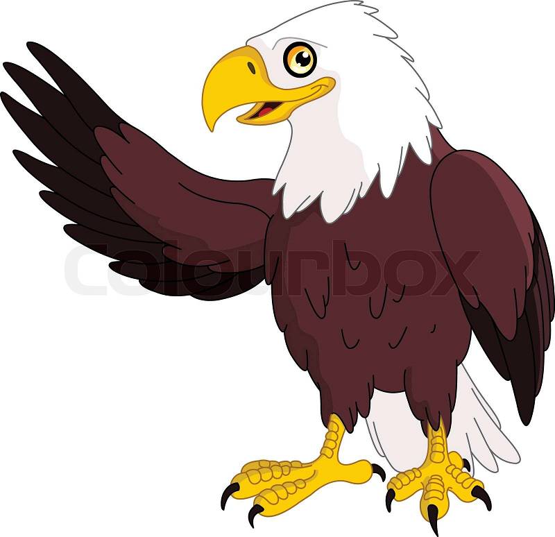 Cartoon Eagle Wings on Stock Vector Of  American Bald Eagle Presenting With His Wing