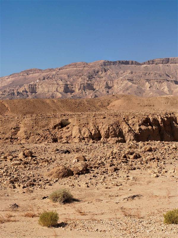 scenic desert
