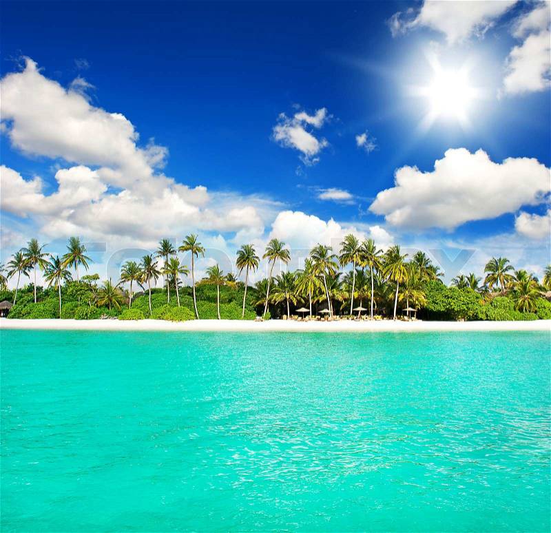 Tropical island beach. landscape with green palm trees and sunny blue sky, stock photo