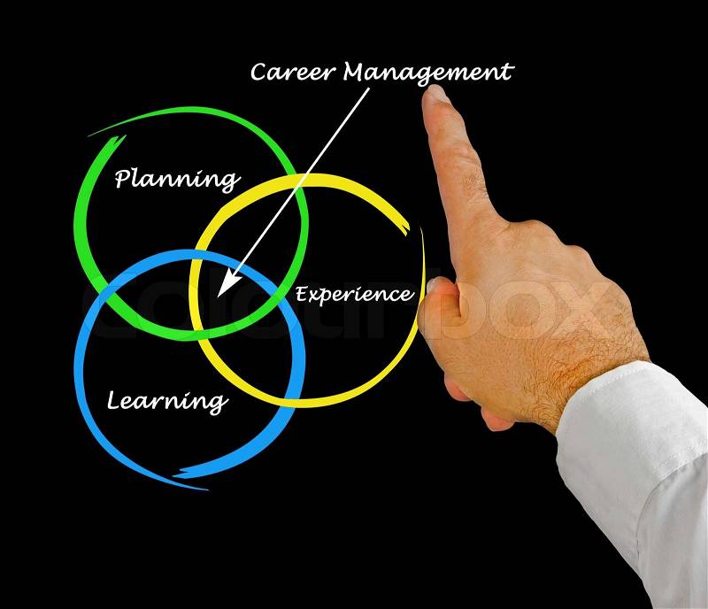 Diagram of career management, stock photo