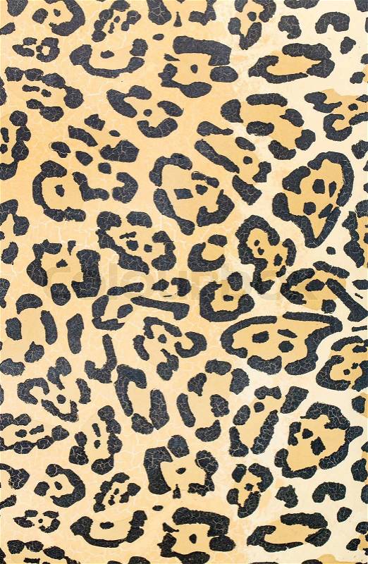 Leopard skin texture, stock photo