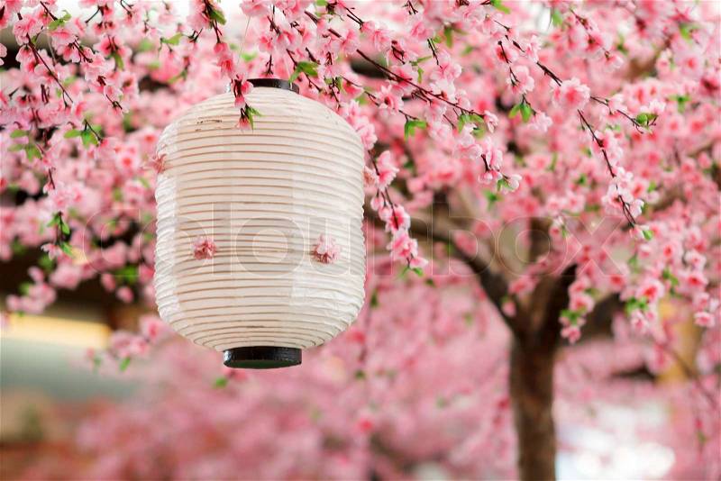 Japanese lantern in japan festival, stock photo