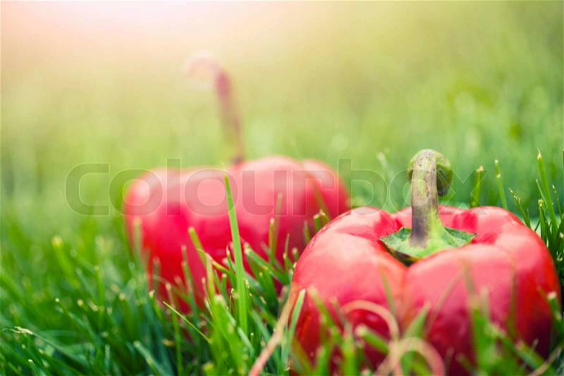 Fresh sweet peppers laying on green grass, stock photo