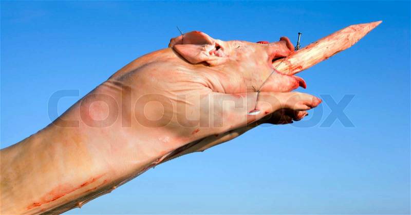 Raw Pig on the Skewer Ready for Barbecue, stock photo