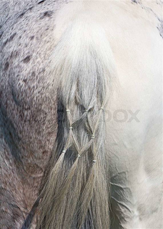 Braids on a white horse tail , stock photo