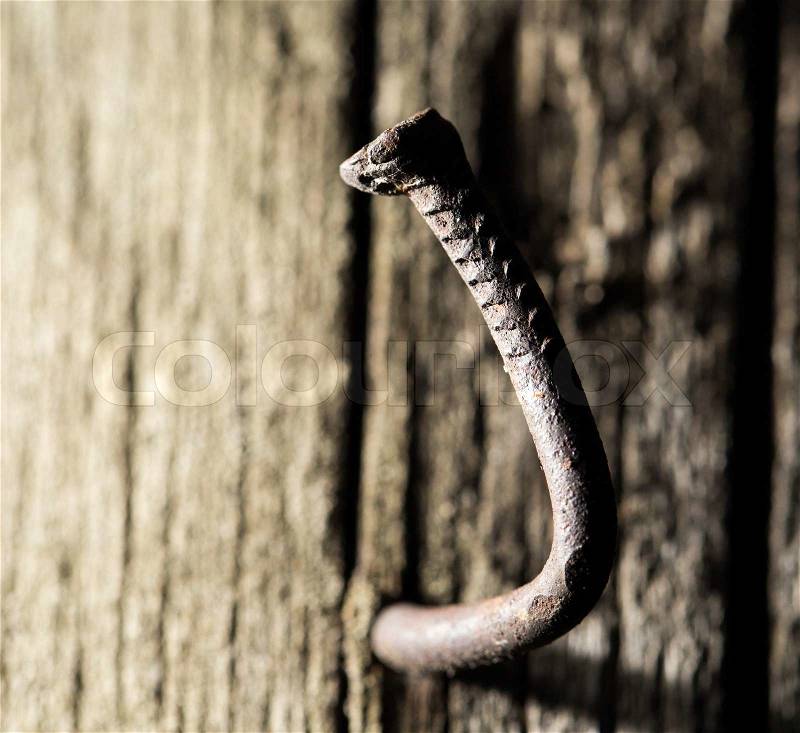 Old rusty nail in the piece of wood. macro, stock photo
