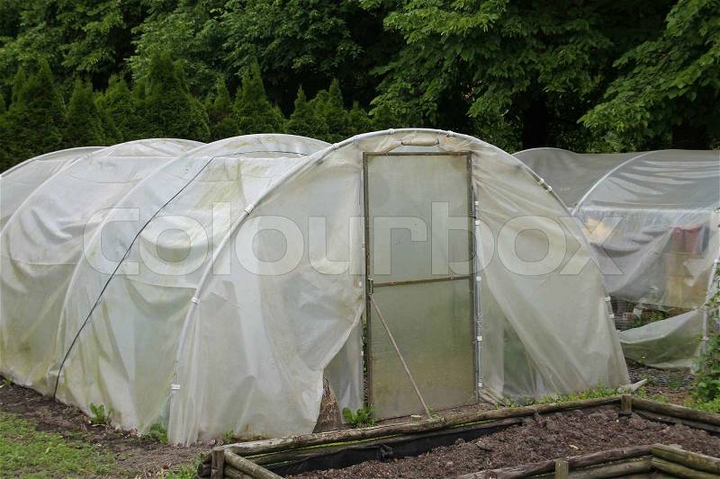 Greenhouse from plastic to protect the plants for the animals and birds in the home garden in summertime, stock photo