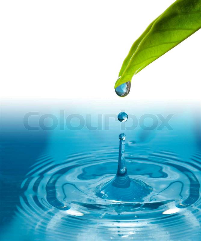 Green leaf with splashing water drops, stock photo