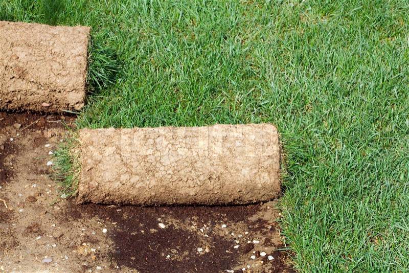 Grass Carpet Rolls Peeled from Soil, stock photo