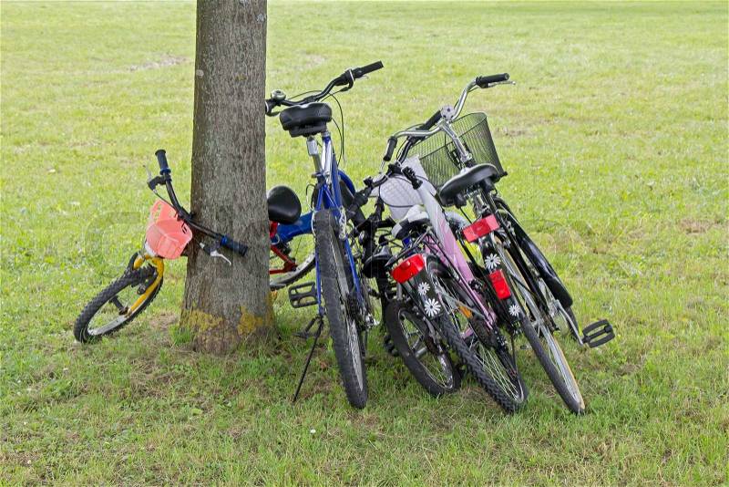 Five bicycles leaning against the tree in city park, stock photo