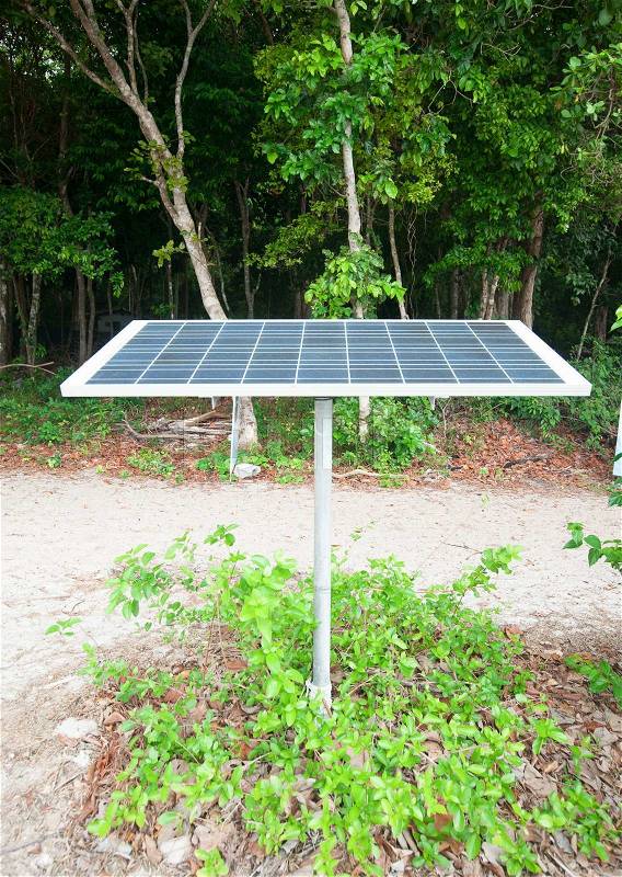 Solar panel in the forest, stock photo