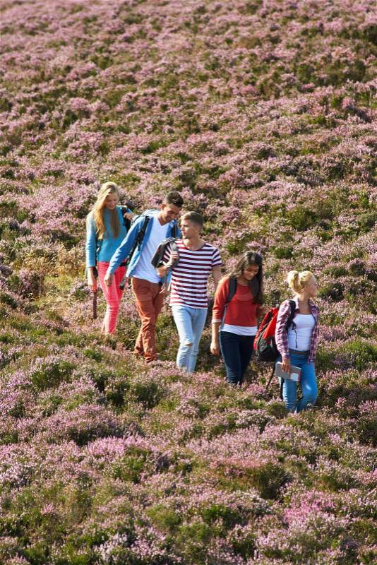 Group Of Young People Hiking Through Countryside, stock photo