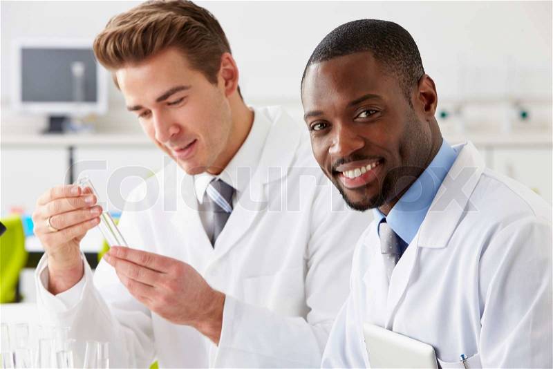 Two Technicians Working In Laboratory, stock photo