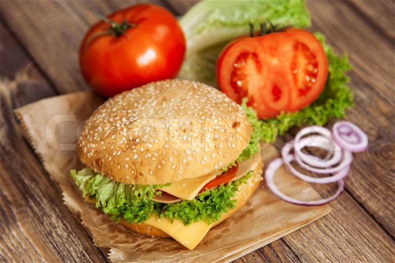 Hamburger ingredients, stock photo