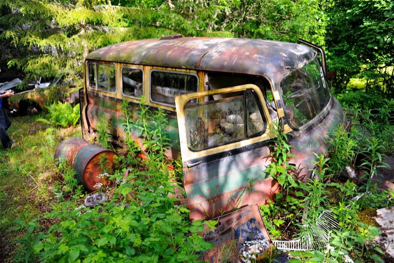 Картинки по запросу abandoned cars in forest