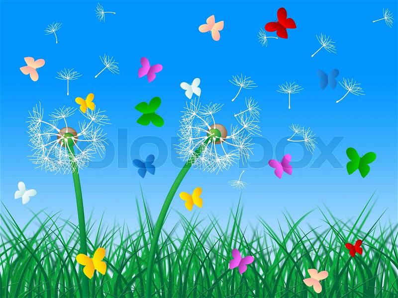 Butterflies Sky Means Dandelion Hair And Butterfly, stock photo