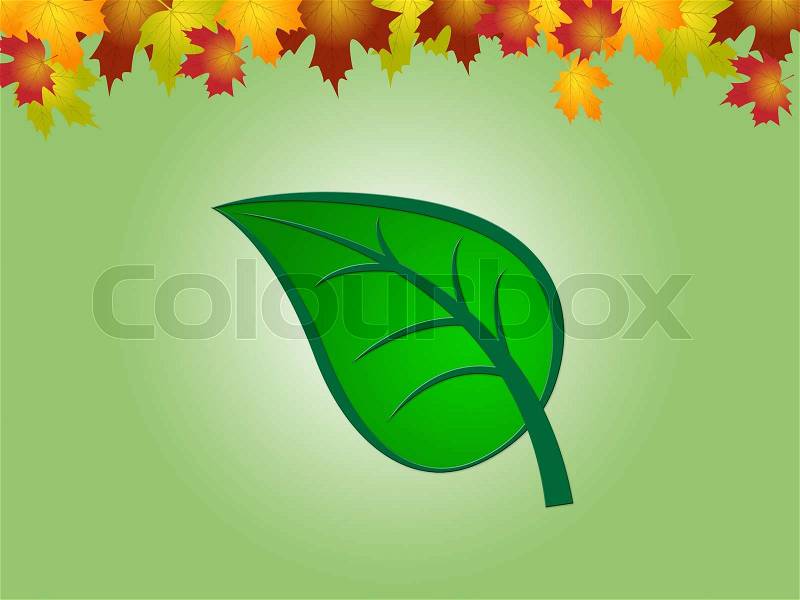 Nature Leaves Indicates Earth Day And Countryside, stock photo