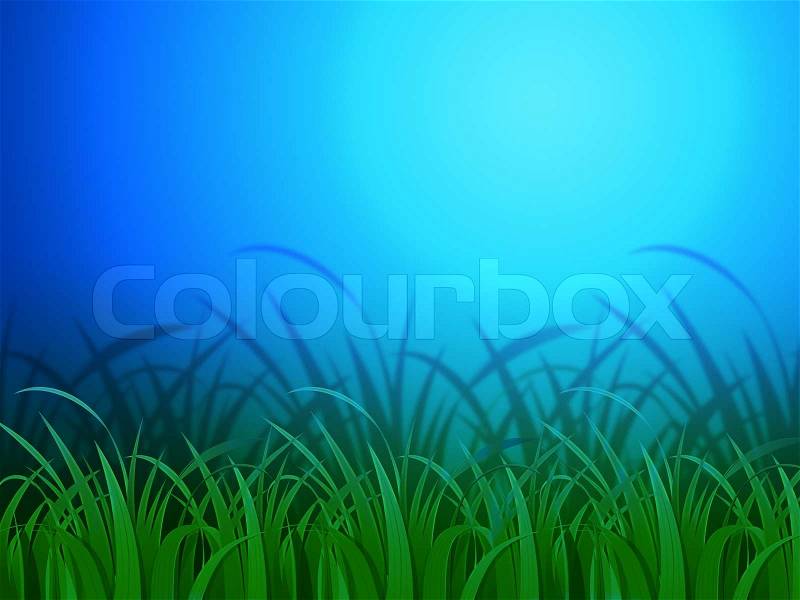 Horizon Background Meaning Clear Lawn And Environment , stock photo