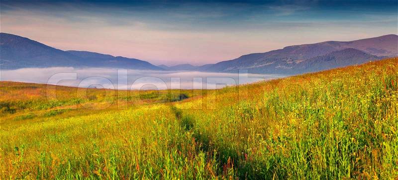 Panorama of the foggy summer morning in the mountains. Geolocation 48.300896,24.375315, stock photo