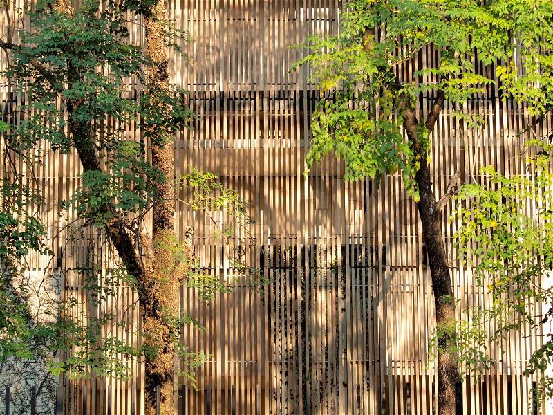 Reduce heat to buildings with lath wood and trees, stock photo