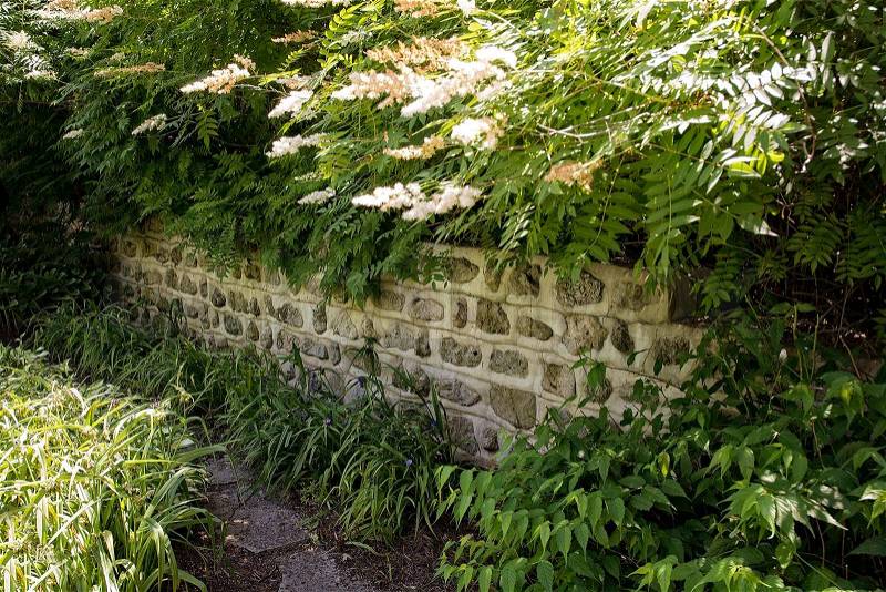 A beautiful stone wall lining a garden path in a shade garden. , stock photo
