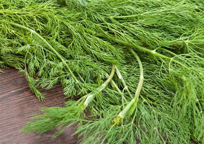 Bunch fresh green dill herb on wooden old table, stock photo