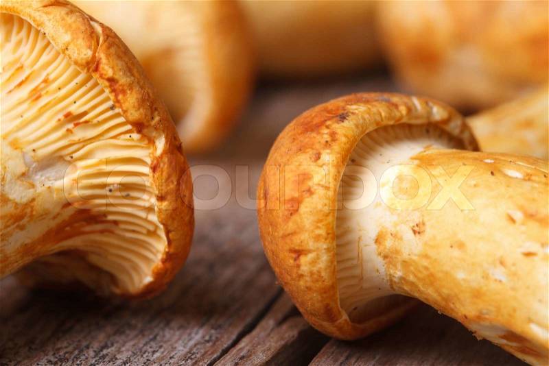 Texture yellow chanterelle mushrooms on a wooden table macro horizontal , stock photo