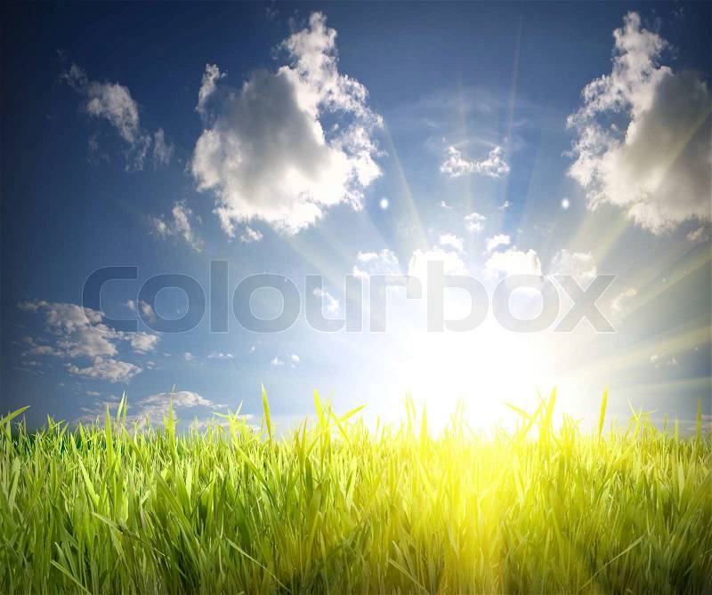 Green grass and blue sky over the sun rise, stock photo