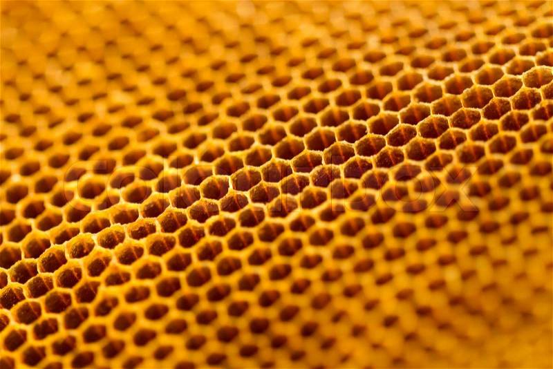 Yellow beautiful honeycomb without honey texture, stock photo