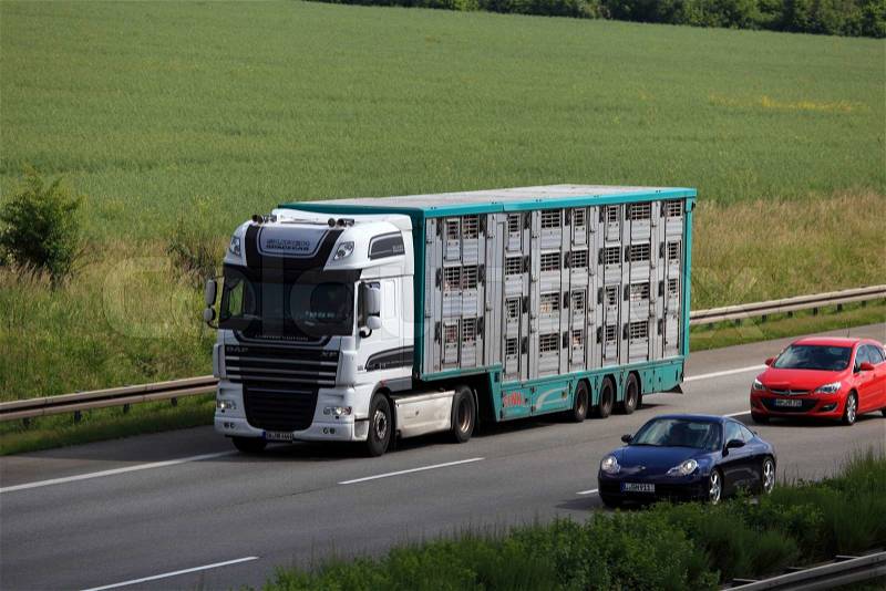 Animal transport truck on the highway in Germany, stock photo
