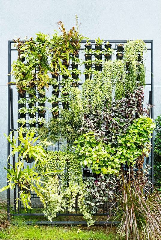 Beautiful vertical garden in city around office building, stock photo
