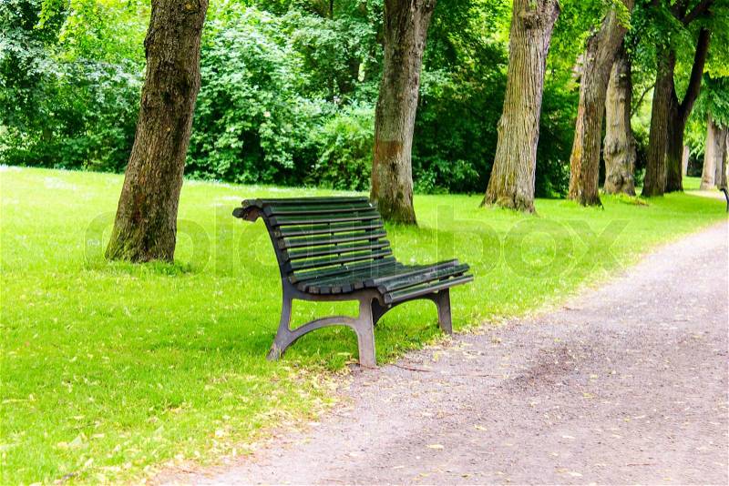 The Stylish bench in the summer park, stock photo