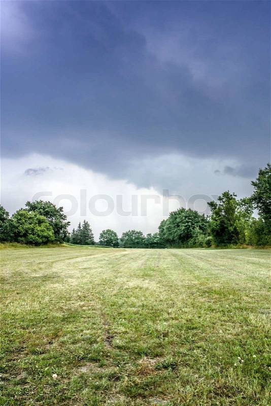 Dark weather landscape with trees, stock photo