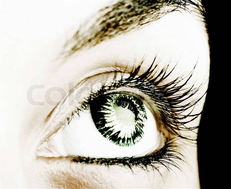 Great big eye. Macro, stock photo