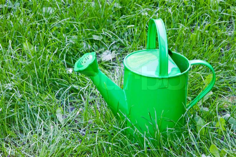 A green watering jug in the garden, stock photo