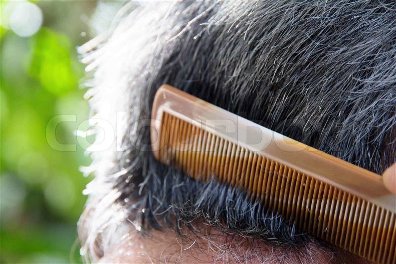 Comb hair, stock photo
